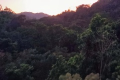 IMG_20240227_181243