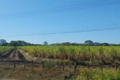costa-rica-2024-1070