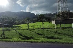 costa-rica-2024-1115