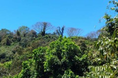 costa-rica-2024-601