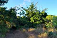 IMG-20240511-WA0005