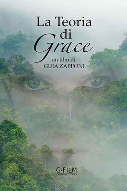 Locandina del film La Teoria di Grace